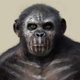 Illustration for article titled Life of the Apes Revealed in emDawn of the Planet of the Apes/em Concept Art